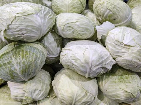 Whole cabbage on display Stock Photos