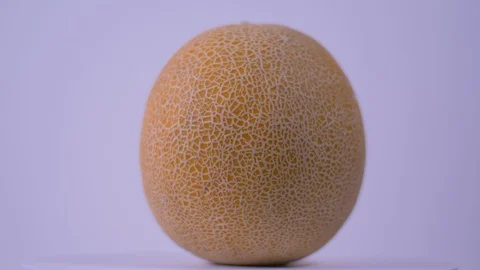 Whole Cantaloupe Melon Spinning on White Background, Cantaloupe 스톡 동영상 128253853