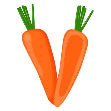 Whole carrot isolated on background. Flat vector illustration Stock Illustration