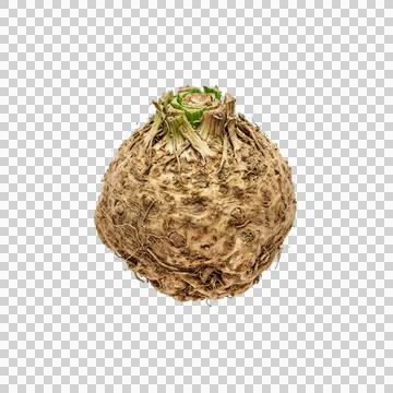 Whole celeriac or celery root on clear background, rustic cooking ingredient. Stock-Fotos