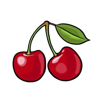 Whole cherry berry with leaf. Vector vintage flat Illustrazione stock