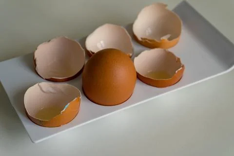A whole chicken egg among the shells. survivorship bias Stock Photos
