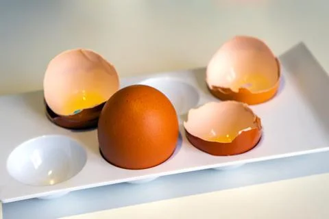 Whole chicken egg among the shells. One whole chicken egg among the shells Stock Photos