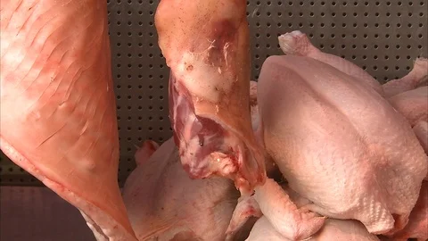 Whole chicken meat Stock Footage 86277248