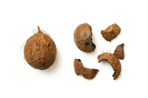 Whole coconut and with split shells isolated white background Foto stock