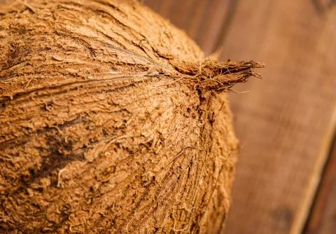 Whole coconut, close up Stock Photos