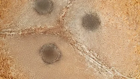 Whole coconut rotating, turning, close-up macro Video stock 243987409