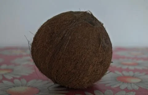 Whole coconut standing on table, close up Stock Photos
