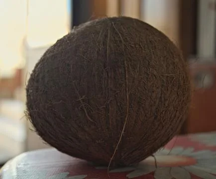Whole coconut standing on table, close up Stock Photos