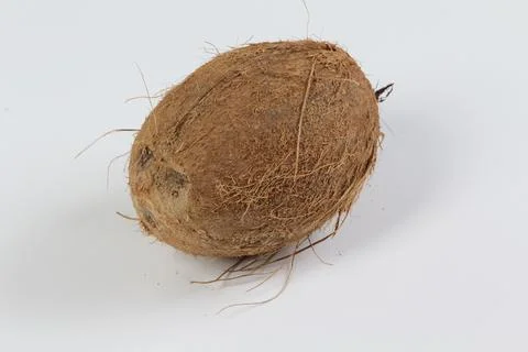 Whole Coconut on white background Stock Photos