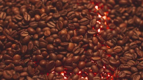 Whole coffee beans close up Stock Footage 228282184