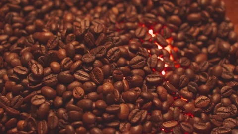 Whole coffee beans close up Stock Footage 228282218