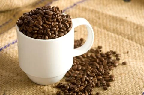 Whole coffee beans in cup Stock Photos