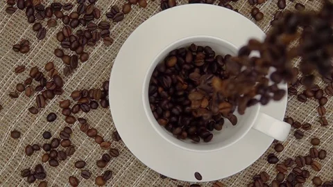 Whole Coffee Beans  Falling into the Cup. Stock Footage 75999148