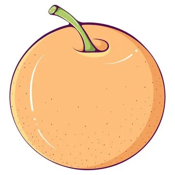 Whole colored red apple Stock Illustration