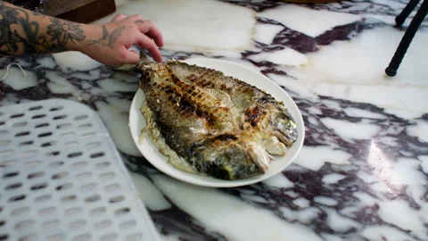 Whole Cooked Fish Being Plated on Marble Countertop in Kitchen Environment Stock Footage 337988013