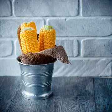 Whole corn  on gray background. Stock Photos