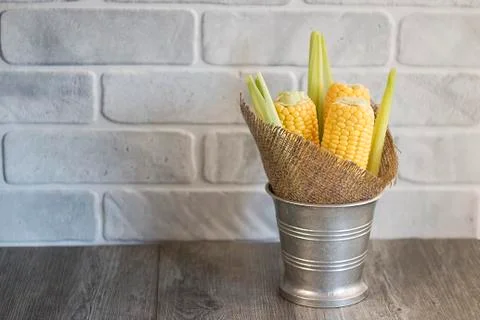 Whole corn on gray background. Stock Photos
