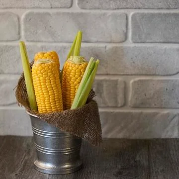 Whole corn  on gray background. Foto stock