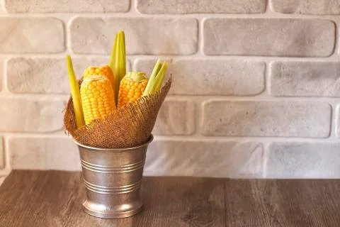Whole corn on gray background. Stock Photos