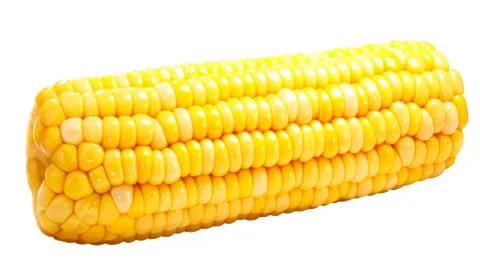 Whole corn maize cob isolated, path Stock Photos