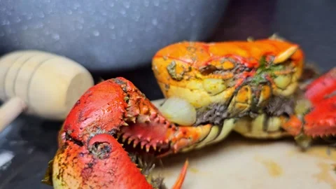 Whole crab on a plate at a dining table Stock Footage 331300377