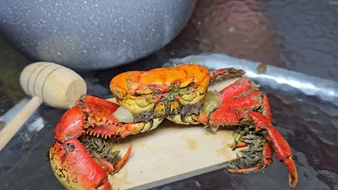 Whole crab on a plate at a dining table. Stock Footage 331300379