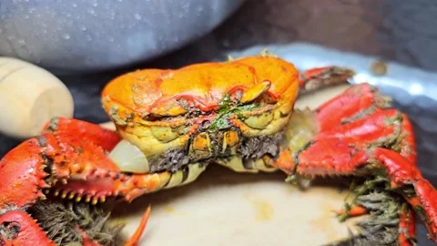 Whole crab on a plate at a dining table. Stock Footage 331300380