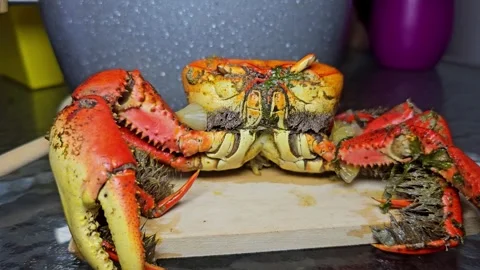 Whole crab on a plate at a dining table. Stock Footage 331300389