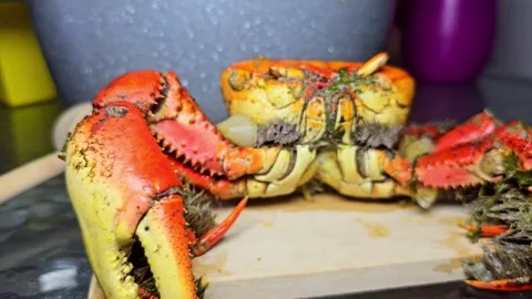 Whole crab on a plate at a dining table. Stock Footage 331300411
