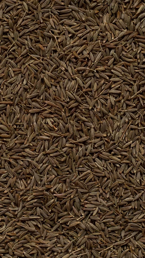 Whole cumin seeds as background texture. Vertical video. Stock Footage 294247634