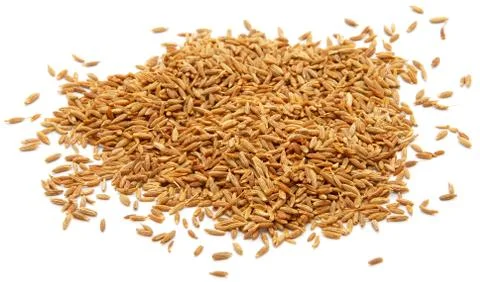 Whole cumin seeds Stock Photos