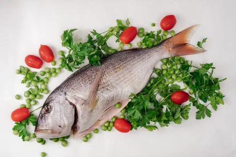 Whole dentex fish ready to cook top view, against white background. Stock Photos