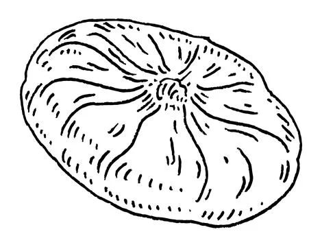 Whole dry fig. Vector black vintage engraving illustration. Illustrazione stock