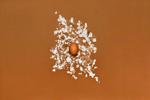 Whole egg and eggshell on brown background Stock Photos