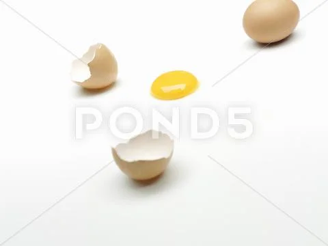 A whole egg, an egg shell and an egg yolk Stock Photos
