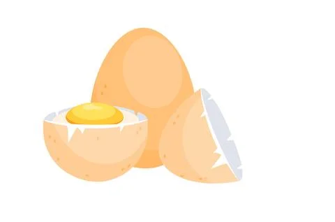 Whole egg, half egg and eggshell showing the yolk and egg white 스톡 일러스트