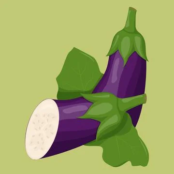 Whole eggplant isolated on background. Flat vector illustration Stock Illustration