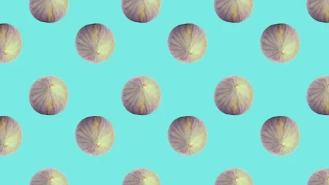 Whole fig fruit in animated grid loop pattern on a light blue background Stock Footage 222321883