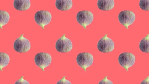 Whole fig fruit in animated grid seamless loop pattern on a coral background Stock Footage 222322109
