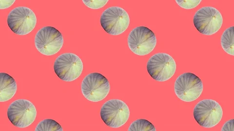 Whole fig fruit in animated grid seamless loop pattern on a coral background Stock Footage 222324321