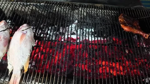 Whole Fish Grilling Over Glowing Charcoal on Street Barbecue at Night Market Stock Footage 328005107