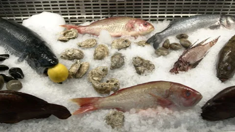 Whole Fish Seafood Display Stock Footage 166962175