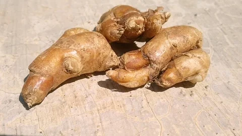 Whole Fresh Aromatic Ginger Kencur Roots for Cooking and Herbs Stock Footage 340382945