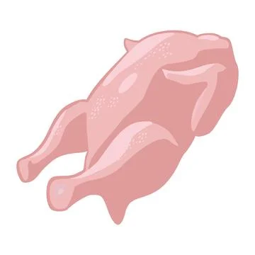 Whole fresh raw chicken. Vector color vector illustration. Icon isolated Stock Illustration