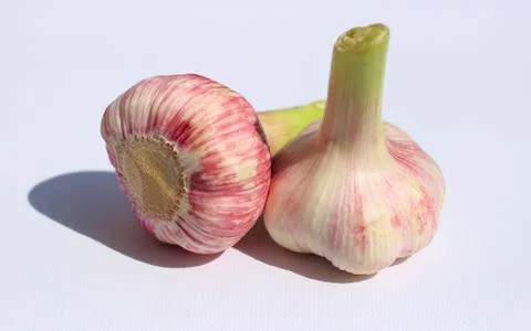 Whole garlic head Stock Photos