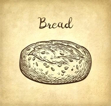 Whole grain bread. 스톡 일러스트