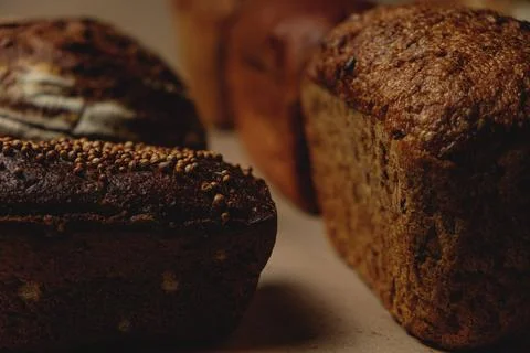 Whole grain bread. Stock Photos