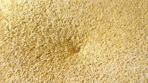 Whole-grain malt is pouring inside mill for milling in brewery Stock Footage 144539359