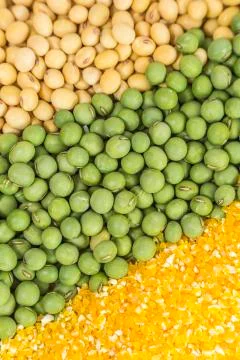 Whole grains Stock Photos